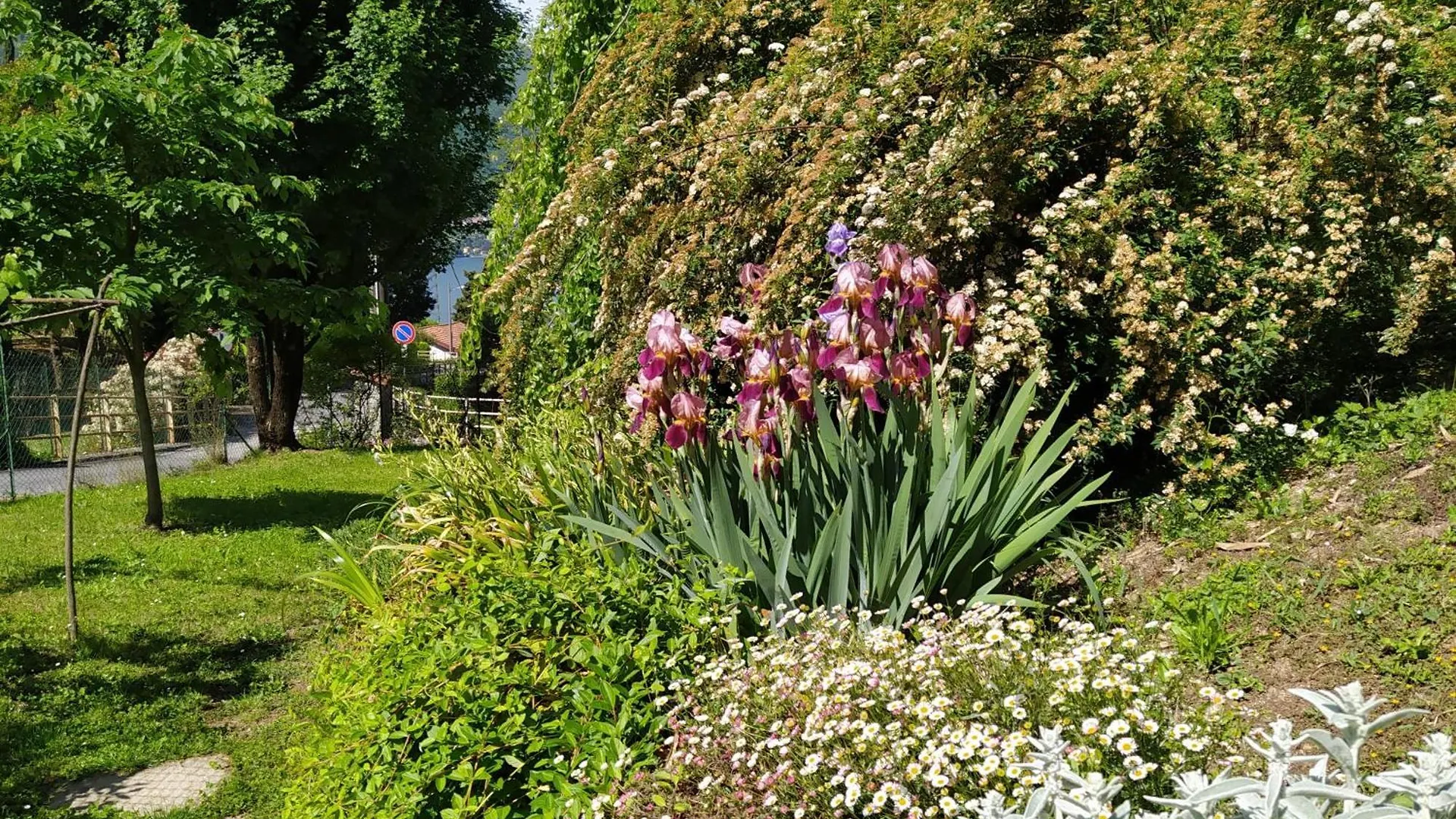Bed & Breakfast Il Bogno B&B Lierna